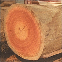 Log