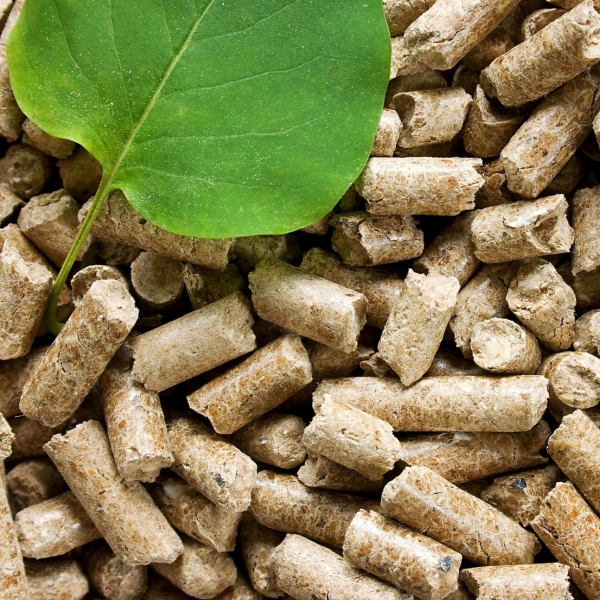 Biomass Wood Pellet Industry
