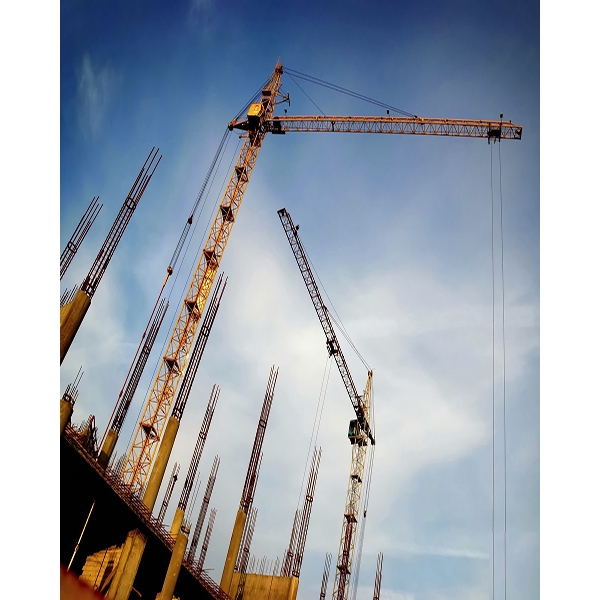 Building & Infrastructure Contractor